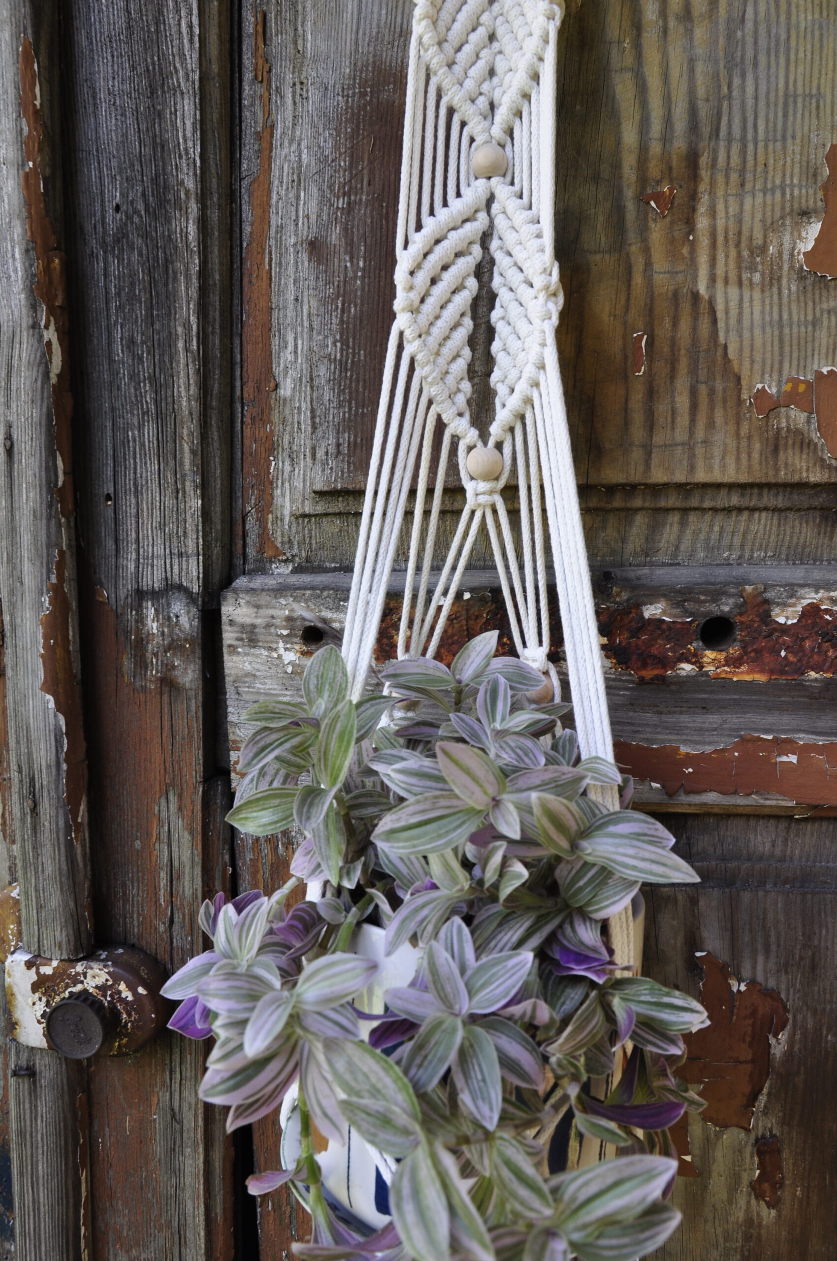 kwietnik LIŚCIE - obrazek 3