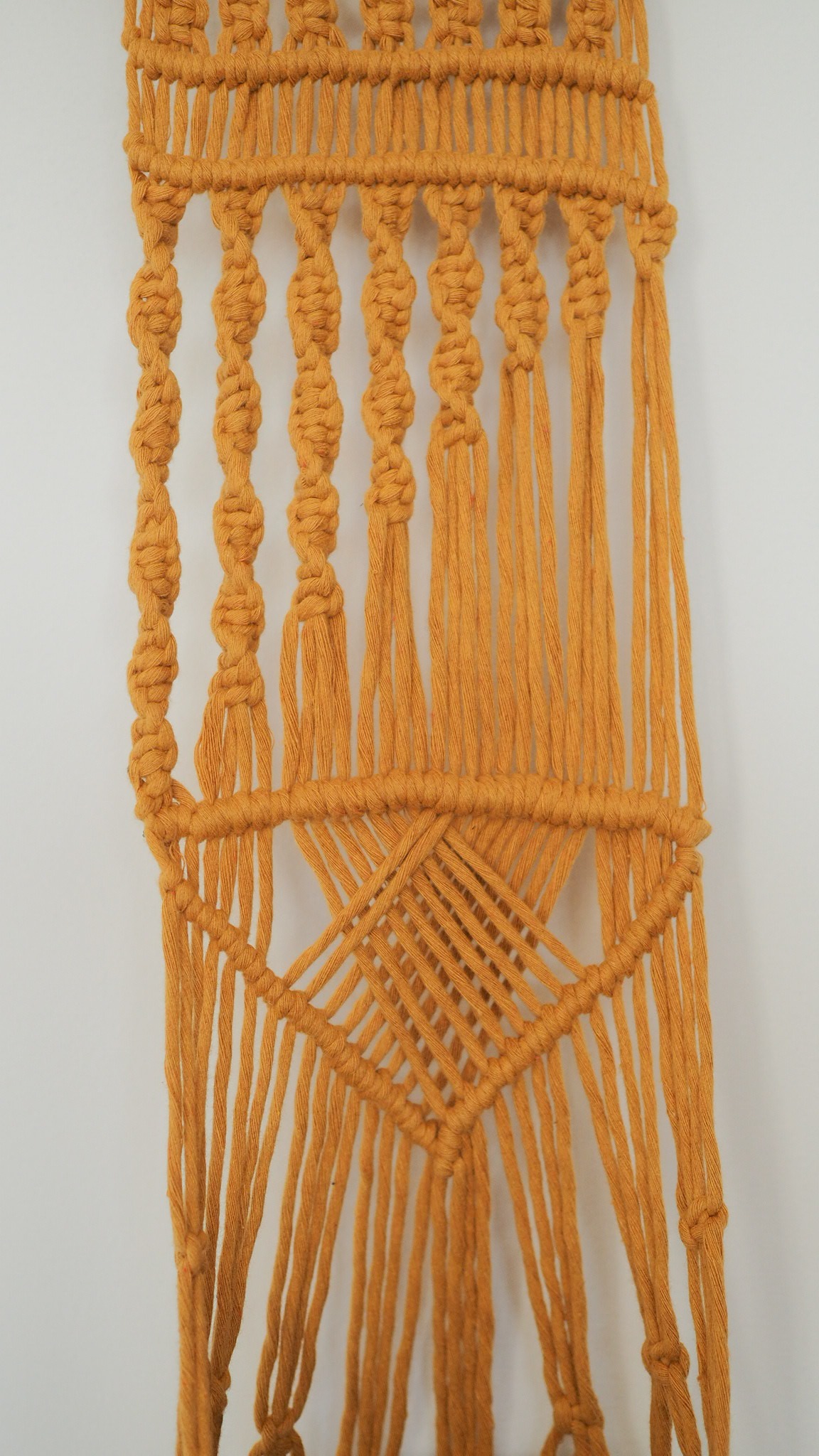 Kwietnik ZŁOCISTY PROMIEŃ - obrazek 3