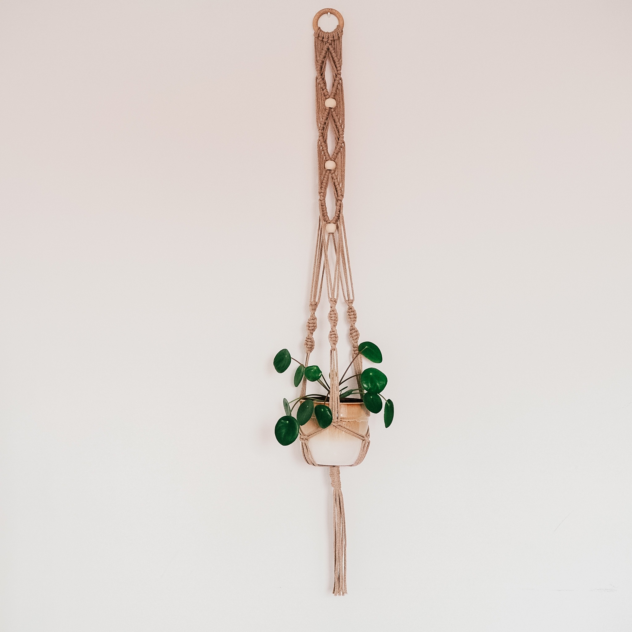 kwietnik DIAMENTY - obrazek 2