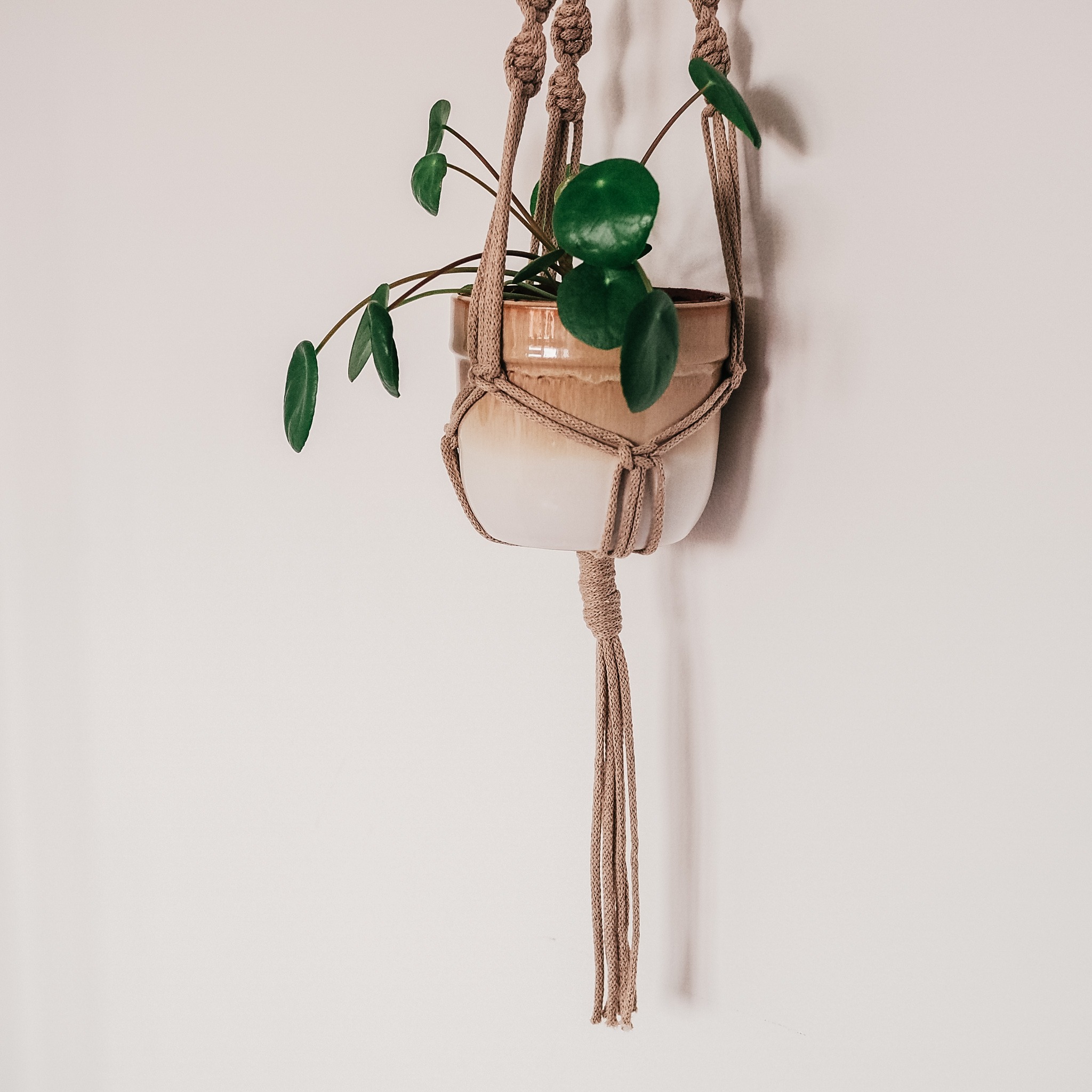 kwietnik DIAMENTY - obrazek 4